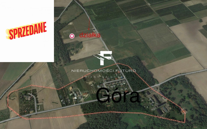 Działka Sprzedaż Góra 8