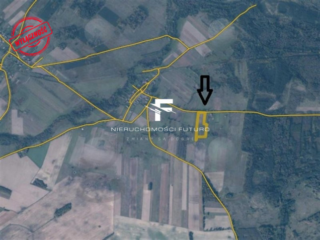 Działka Sprzedaż Modrzewo 10
