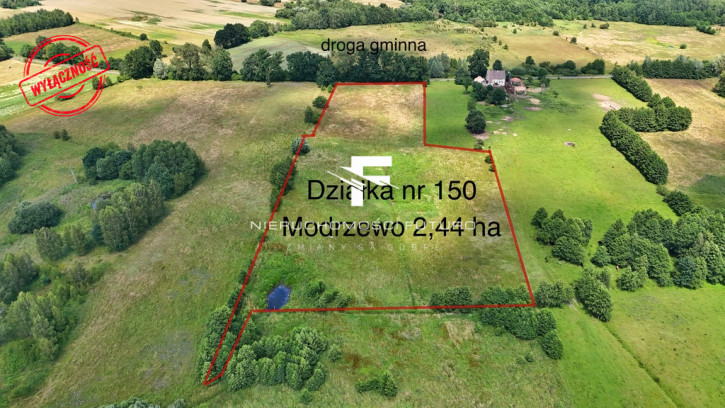 Działka Sprzedaż Modrzewo 1